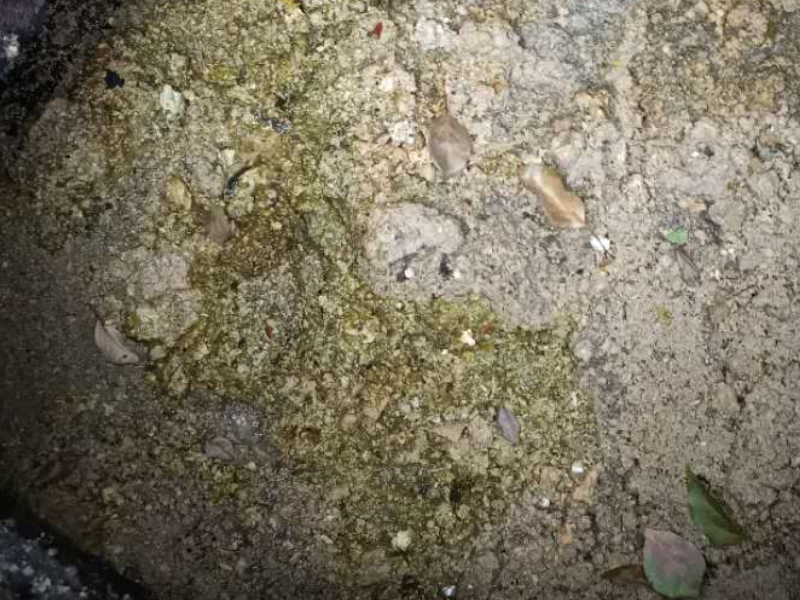 天津专业管道疏通清洗 外网管道承包 清理化粪池